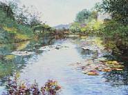 Water Lily Impressions